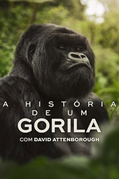 A História de Um Gorila com David Attenborough (2026)